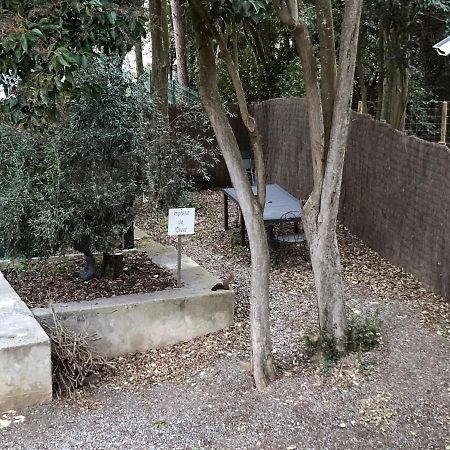 Au Vieux Lavoir Avec Parking Prive, Jardin , Climatisation, A 500 M De La Cite Carcassonne Ngoại thất bức ảnh