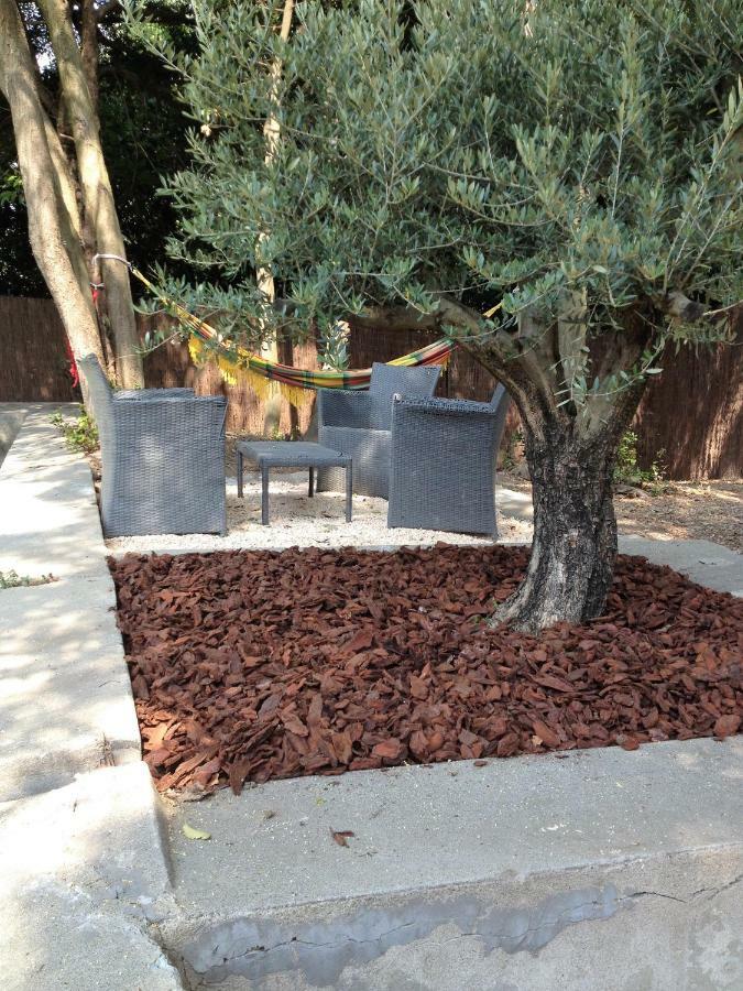 Au Vieux Lavoir Avec Parking Prive, Jardin , Climatisation, A 500 M De La Cite Carcassonne Ngoại thất bức ảnh