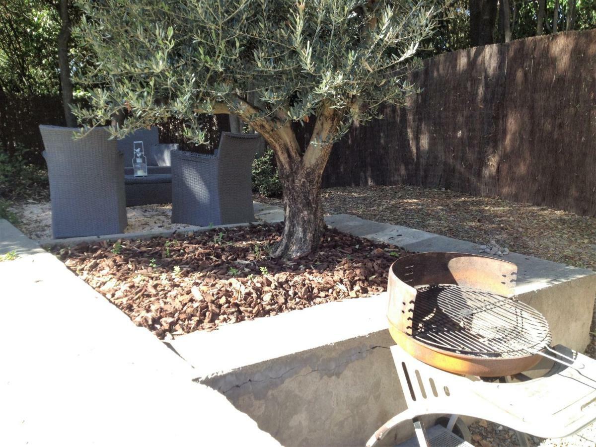 Au Vieux Lavoir Avec Parking Prive, Jardin , Climatisation, A 500 M De La Cite Carcassonne Ngoại thất bức ảnh
