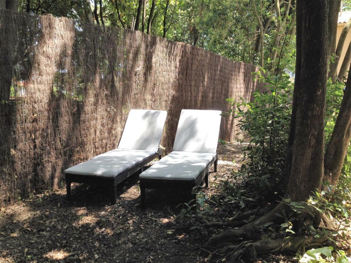 Au Vieux Lavoir Avec Parking Prive, Jardin , Climatisation, A 500 M De La Cite Carcassonne Ngoại thất bức ảnh